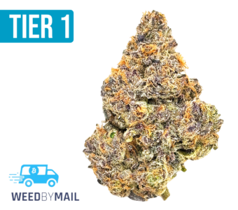 Tier 1 Rock Tarts (36.85% THC)(Hybrid)