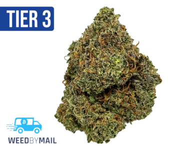 Tier 3 Northern Cross (28.79% THC) (Hybrid)