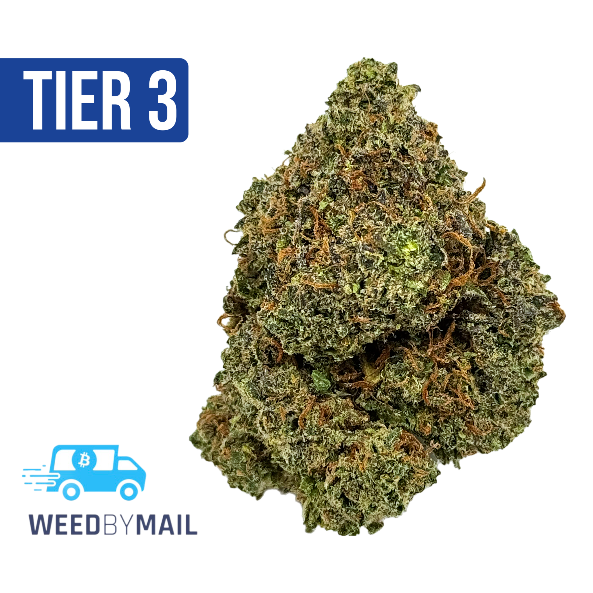 Tier 3 Northern Cross (28.79% THC) (Hybrid)