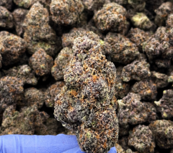 $1600 LB Special – Purple Rain (Indica/Hybrid)