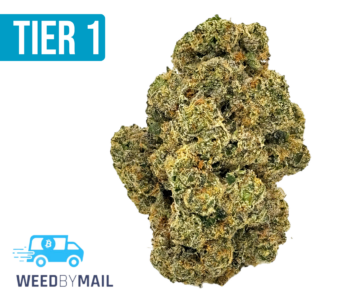 Tier 1 First Class Gas (35.90% THC)(Indica)