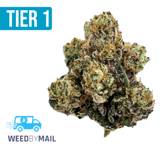 Tier 1 G Purps (35.91% THC)(Indica)