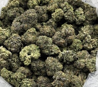 $850 LB Special – Purple Chemdawg (Indica)