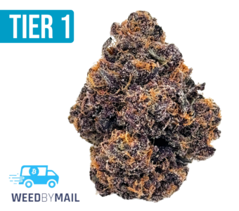 Tier 1 Puffin Purple (35.86% THC)(Indica)