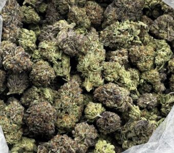 $850 LB Special – Cadillac Rainbow (Hybrid)