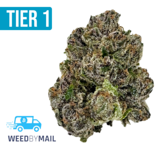 Tier 1 Cherry Zoap (36.97% THC)(Hybrid)