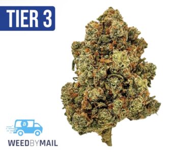 Tier 3 Tango Jack (28.85% THC) (Sativa)