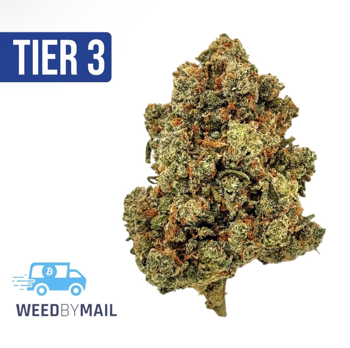 Tier 3 Tango Jack (28.85% THC) (Sativa)
