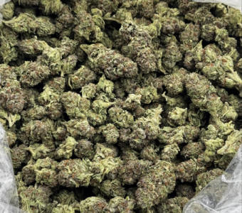 $700 LB Special – Purple Urkle (Indica)