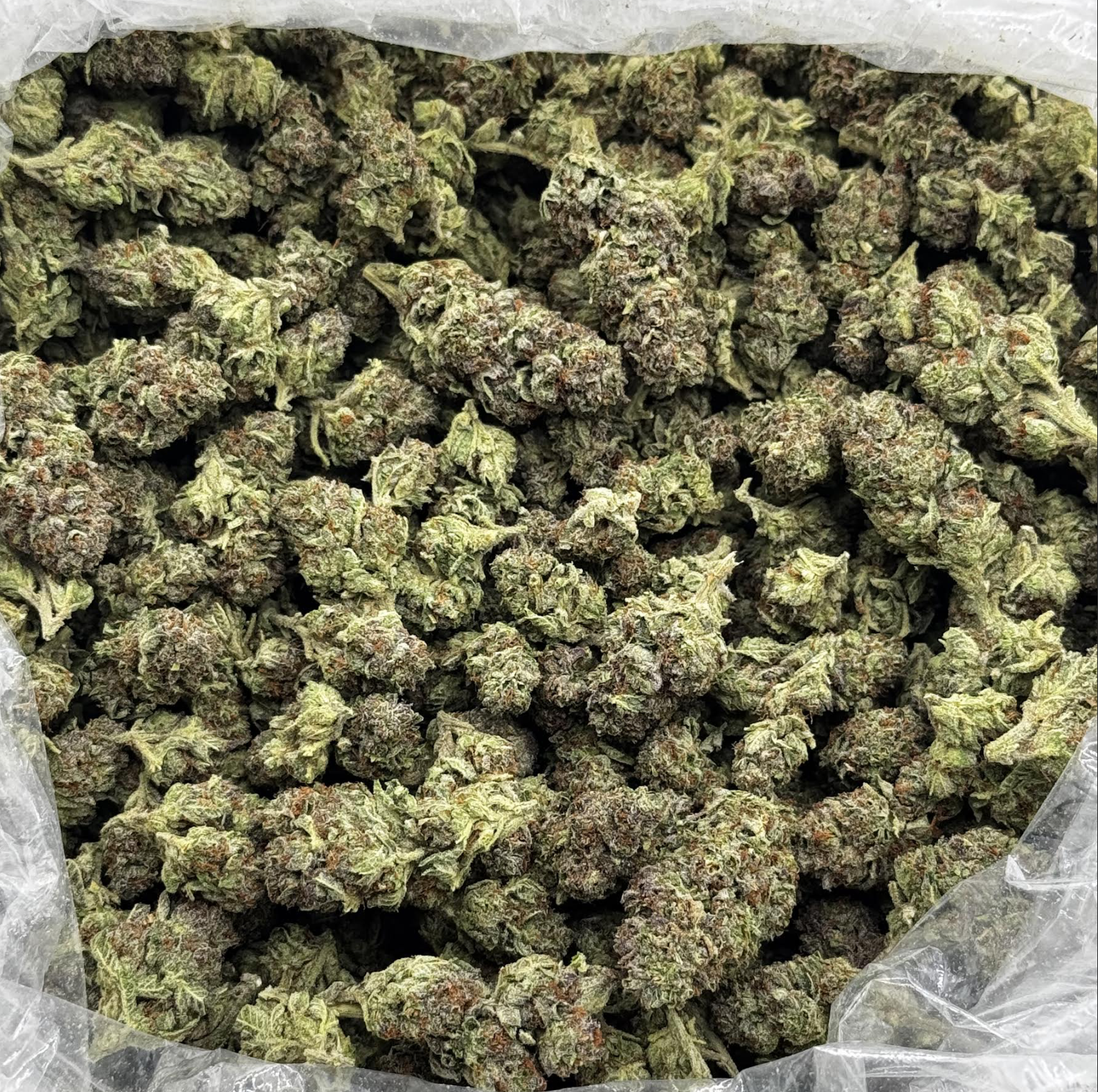 $700 LB Special - Purple Urkle (Indica)