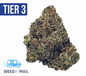 Tier 3 Phantom Arrow (28.89% THC) (Indica)