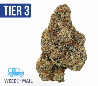 Tier 3 Fritter Fuel (28.86% THC) (Hybrid)