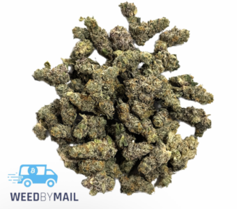 Tier 1 (Small Buds) Tropicali (32.97% THC)(Hybrid) – 28 Grams
