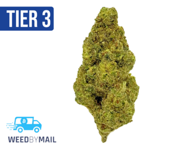 Tier 3 Papaya (28.83% THC) (Indica)