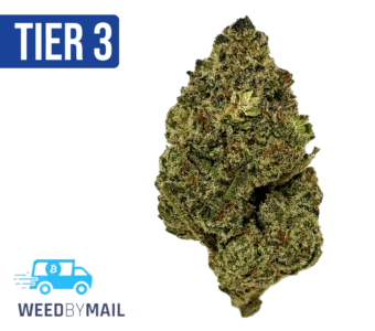 Tier 3 Alien Inferno (28.82% THC) (Hybrid)