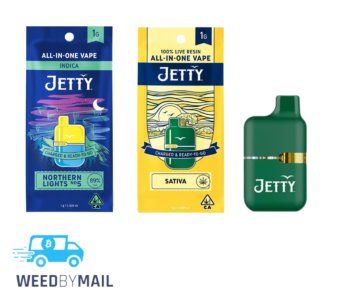 Jetty – 1G Disposable Pen (3 Options)