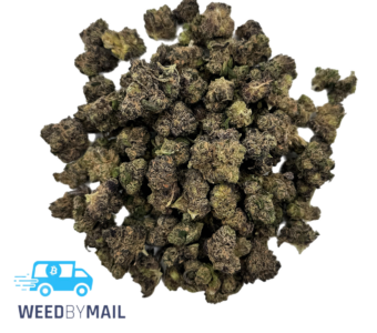 Tier 2 (Small Buds) Grape Gasoline (31.81% THC)(Hybrid)