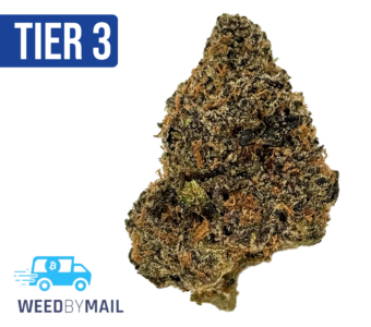 Tier 3 Purple Passion (28.83% THC) (Indica)