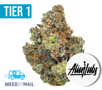 Tier 1 XJ-13 (35.96% THC)(Sativa)