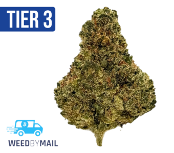 Tier 3 Durban Cookies (28.83% THC) (Sativa)