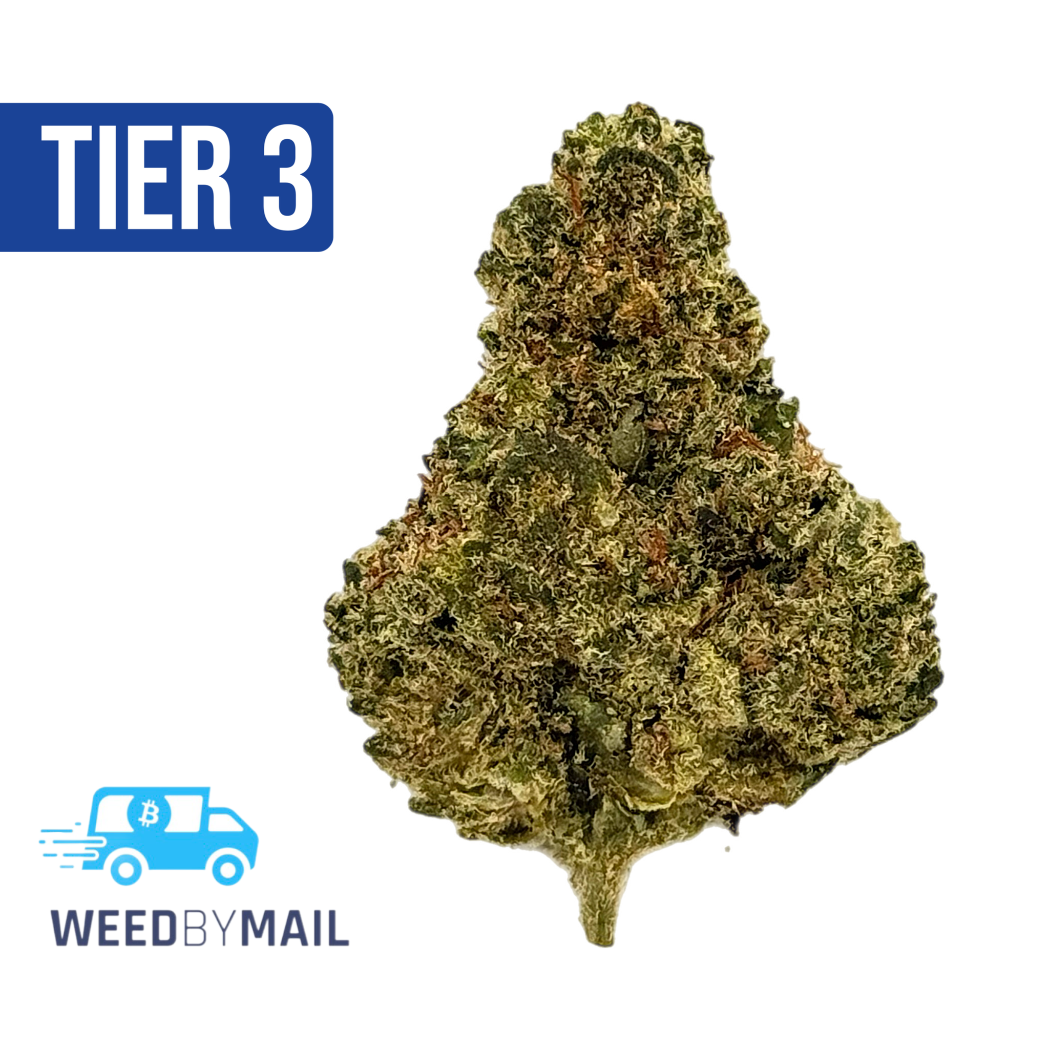 Tier 3 Durban Cookies (28.83% THC) (Sativa)