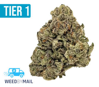 Tier 1 Cherry Burst (36.81% THC)(Hybrid)