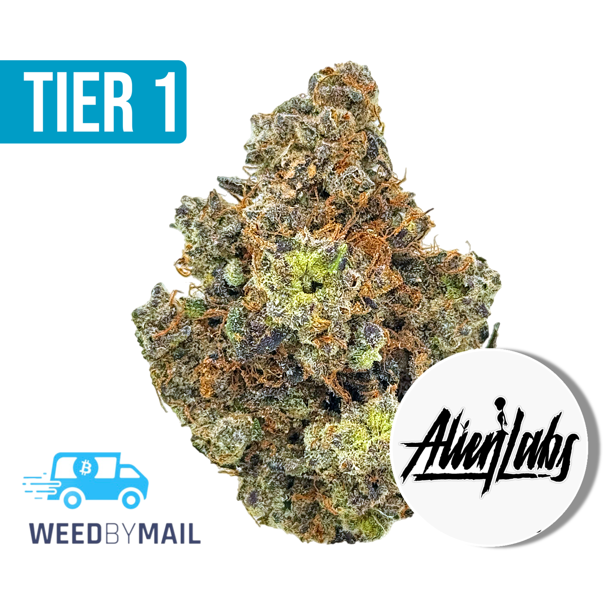 Tier 1 XJ-13 (35.96% THC)(Sativa)