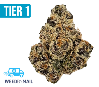 Tier 1 Forbidden Z (36.90% THC)(Hybrid)