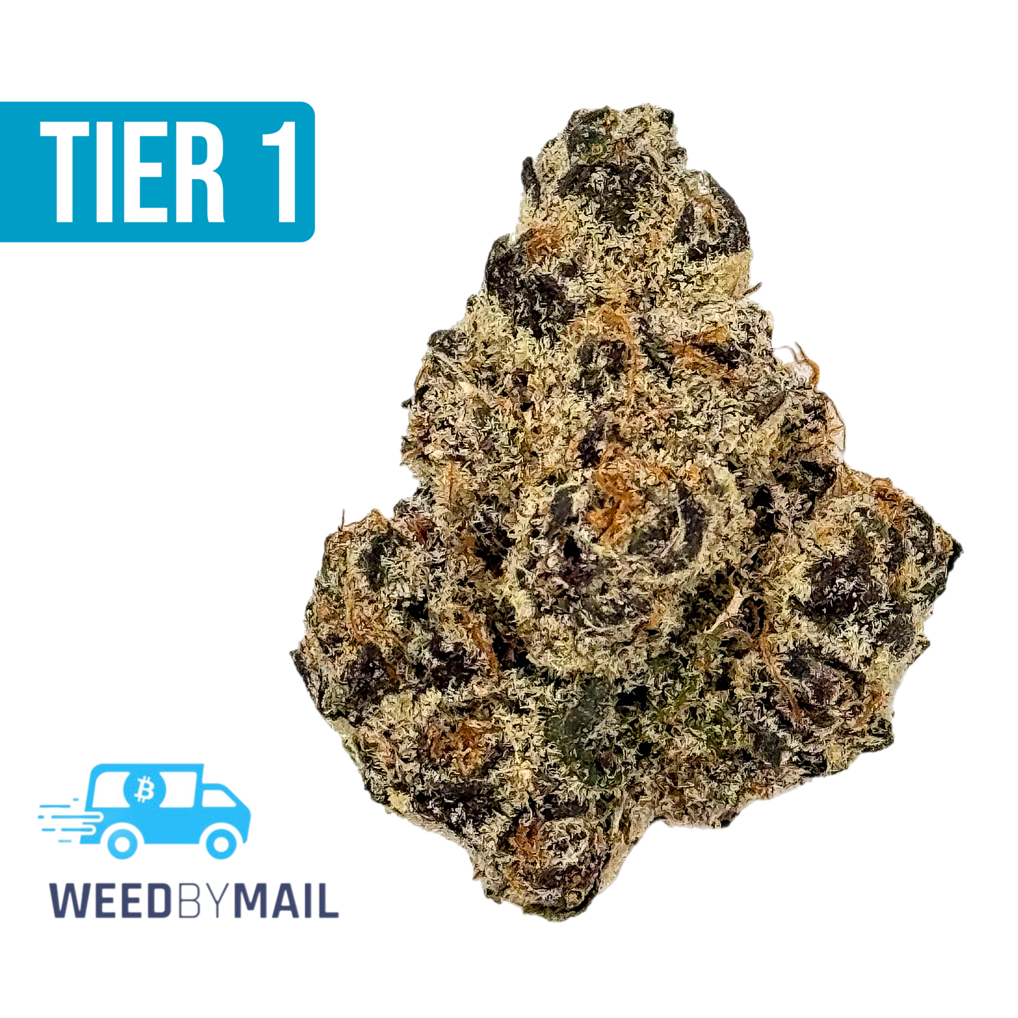 Tier 1 Forbidden Z (36.90% THC)(Hybrid)