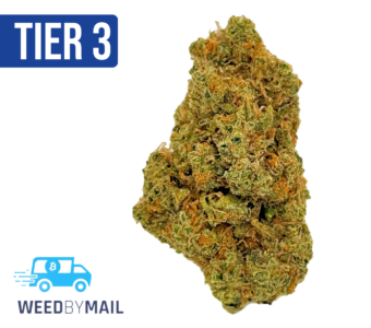 Tier 3 All Gas OG (28.96% THC) (Indica)