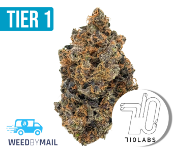 Tier 1 Gorilla Runtz (36.87% THC)(Hybrid)