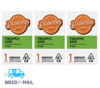 Dabwoods – 1G Disposable Pen (1 Option)