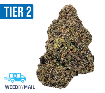Tier 2 Monster Cookies (32.81% THC)(Indica)
