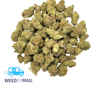 Tier 2 (Small Buds) Banana Mac (31.83% THC)(Hybrid)