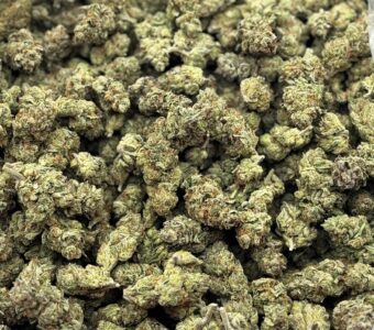 $640 LB Special – Copper Kush (Indica)