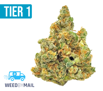 Tier 1 Blue Dream (35.89% THC)(Sativa)