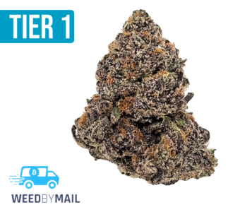 Tier 1 Mochi (35.98% THC)(Hybrid)