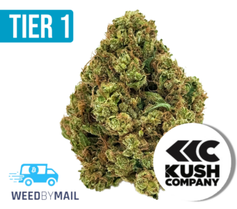 Tier 1 King Mamba OG (36.78% THC)(Indica)