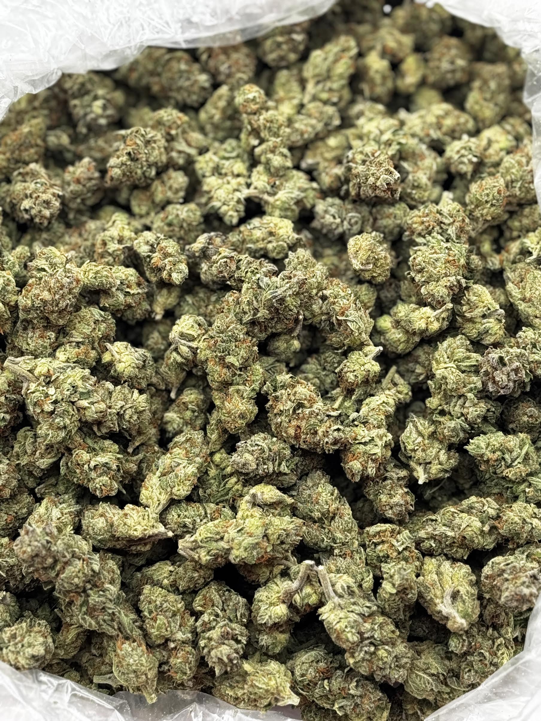 $640 LB Special - Copper Kush (Indica)