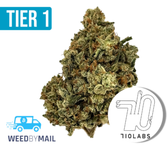 Tier 1 Ultra Jack (35.92% THC)(Sativa)