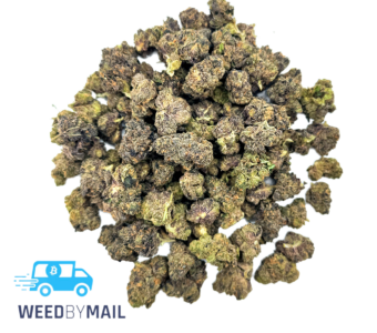 Tier 2 (Small Buds) Blue Gelatti (31.86% THC)(Sativa)