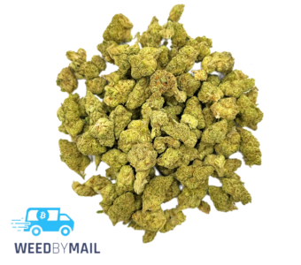Tier 2 (Small Buds) Papaya Bomb (31.88% THC)(Hybrid)