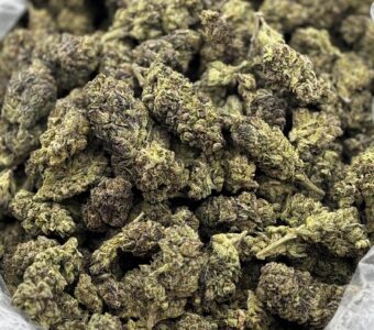 $675 LB Special – Animal Gas (Hybrid)