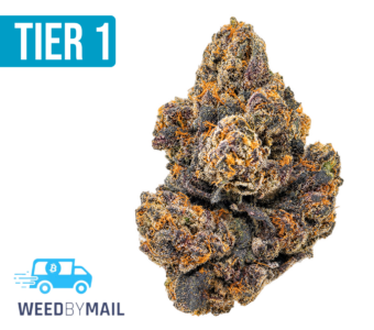 Tier 1 Animal Runtz (36.84% THC)(Hybrid)