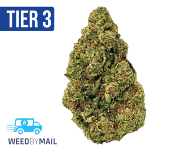 Tier 3 Green Crack (28.95% THC) (Sativa)
