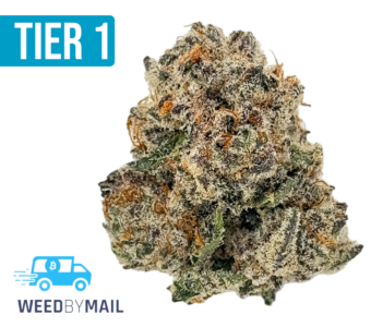 Tier 1 Lemon Tart Pucker (36.91% THC)(Sativa)