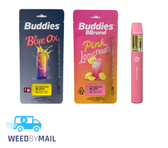 Buddies – 1G Disposable Pen (1 Option)