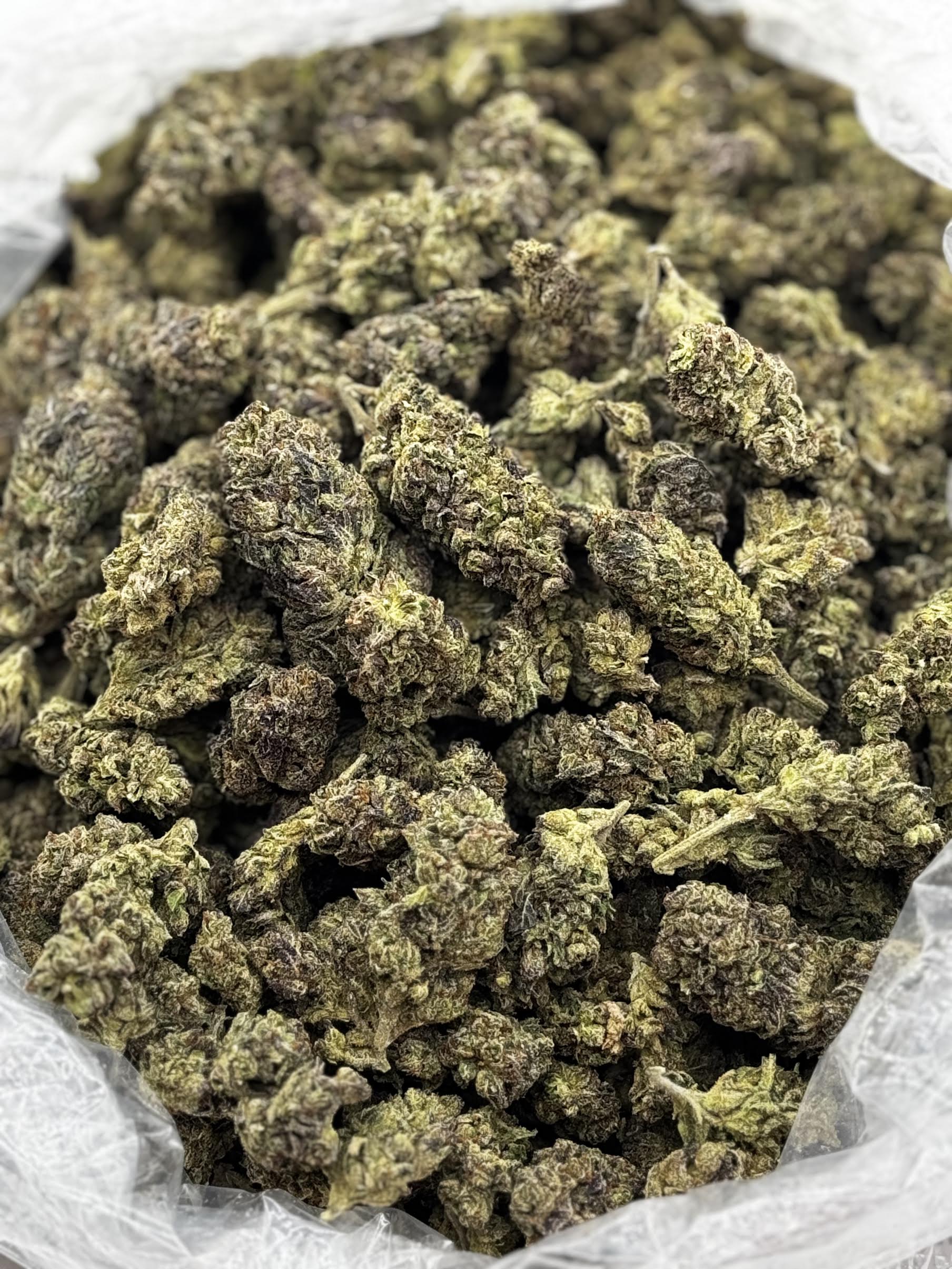 $675 LB Special - Animal Gas (Hybrid)
