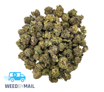 Tier 2 (Small Buds) LA Confidential (31.81% THC)(Indica)
