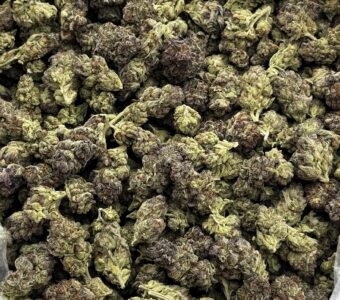 $650 LB Special – Blue Cheese (Indica)